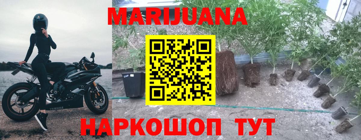 Шишки марихуана MAZAR  Каннабис семена  Вход с VPN  Бошки Шишки планчик  Вышний Волочёк  Марихуана Amnesia 